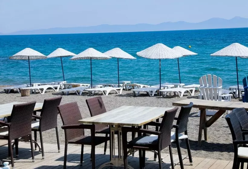 ホテル İmaj Beach