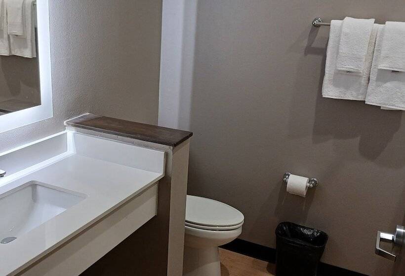 Отель Red Roof Inn Lancaster, Tx