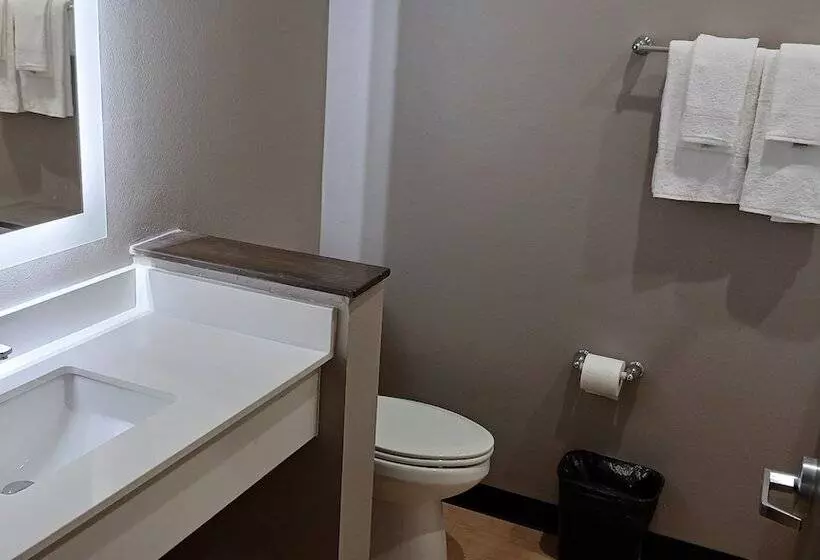 Hotelli Red Roof Inn Lancaster, Tx