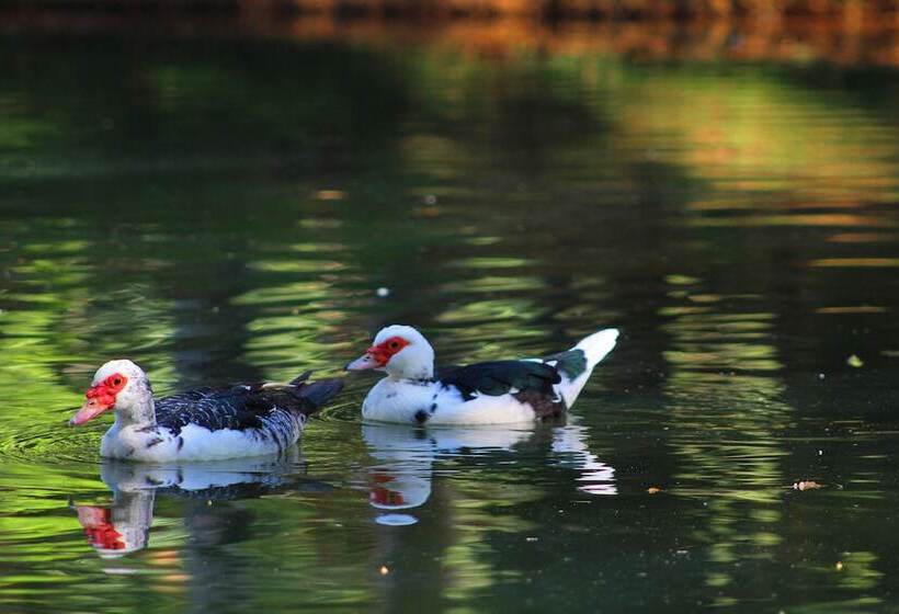 Limoeiro Da Concordia Hotel Fazenda De Charme