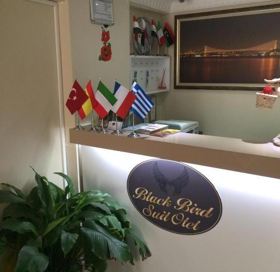 Отель Black Bird Suite