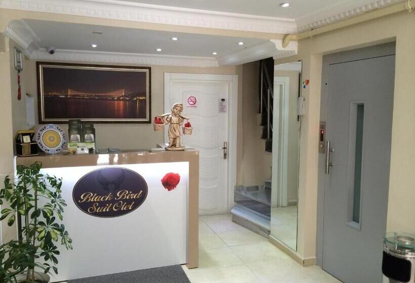 Отель Black Bird Suite