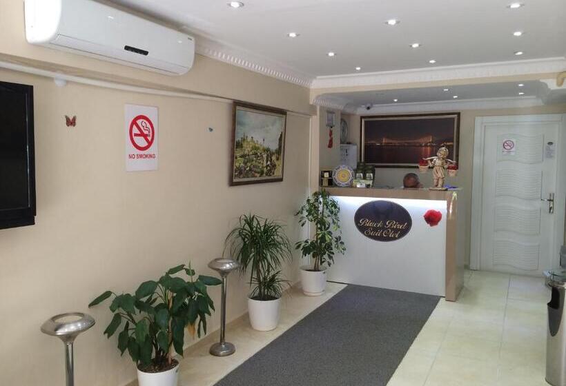 Отель Black Bird Suite