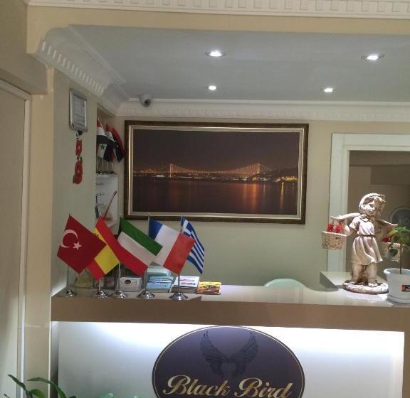 Отель Black Bird Suite