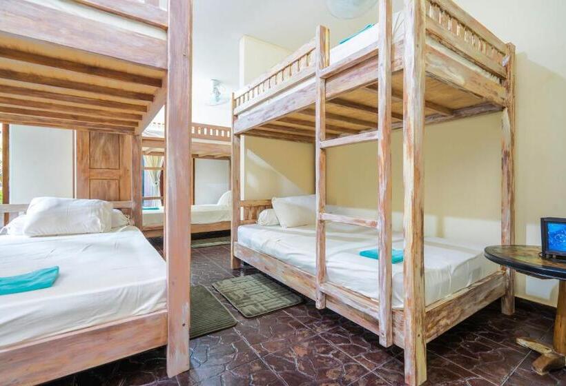 Отель Liberty Dive Resort