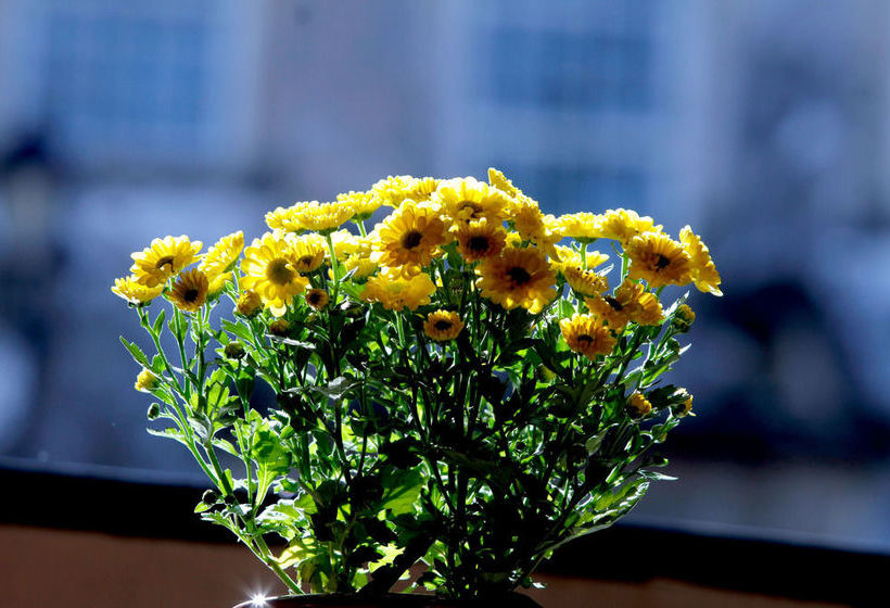 膳宿费 Luna Bahia Pousada