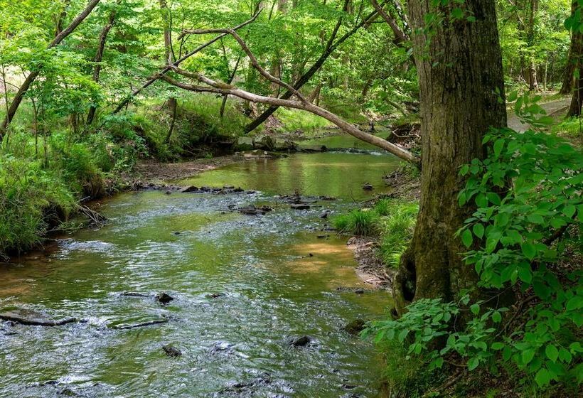 Buck Valley Lodge Mountain Getaway!