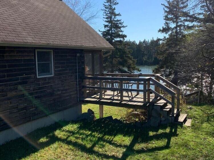 Dear Cove   Kayaking!