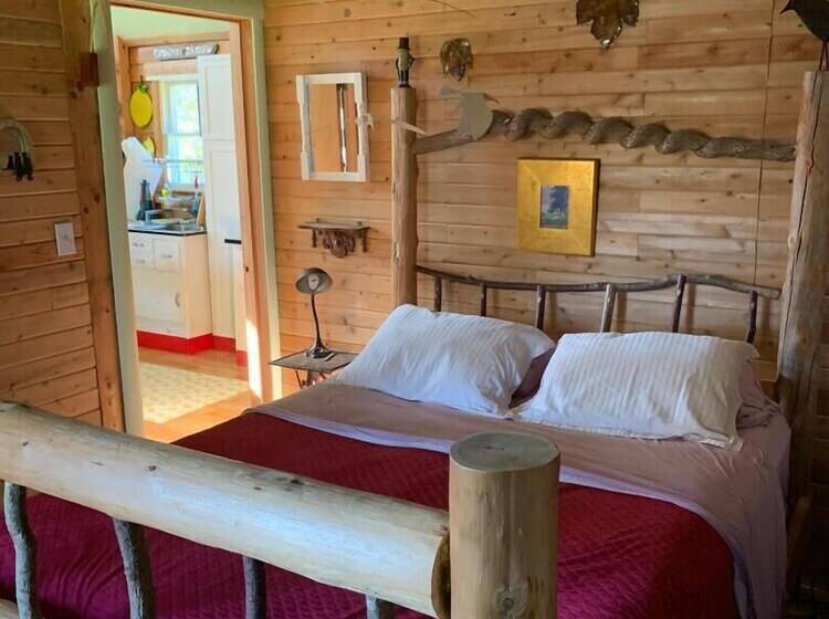 Dear Cove   Kayaking!