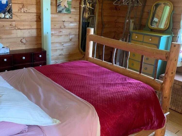 Dear Cove   Kayaking!