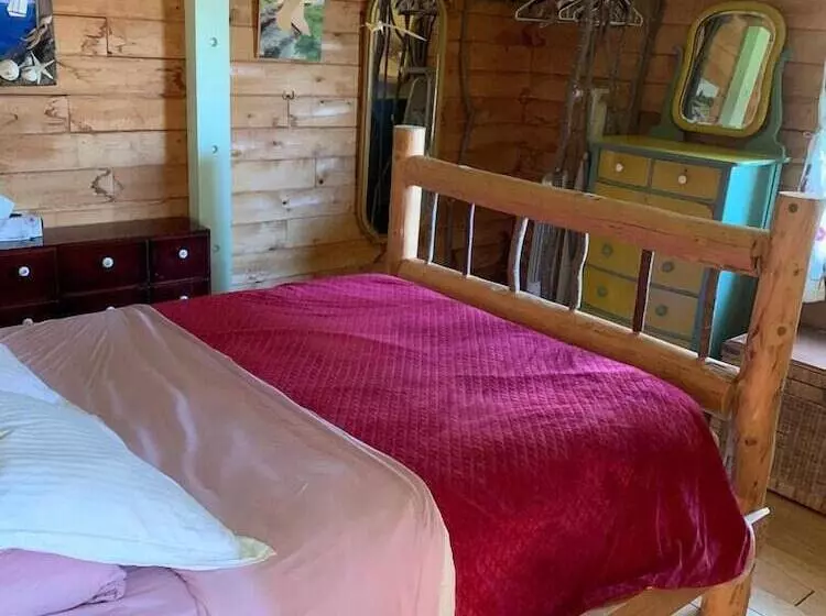 Dear Cove   Kayaking!