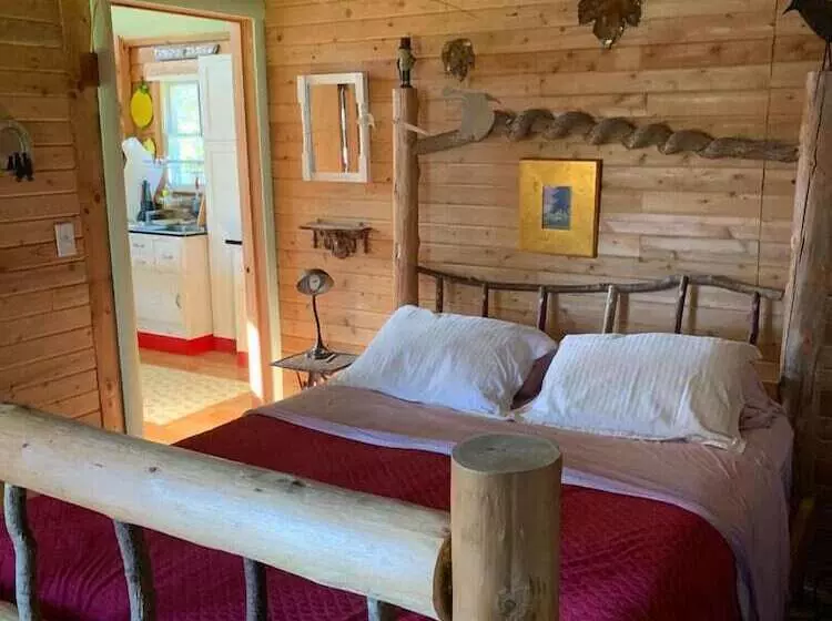 Dear Cove   Kayaking!