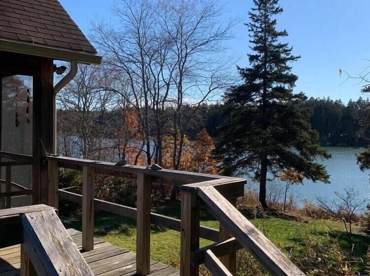 Dear Cove   Kayaking!