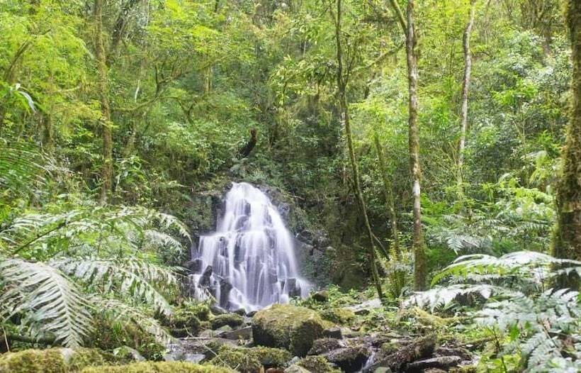 Otel Margay   Reserva Natural Y Lodge