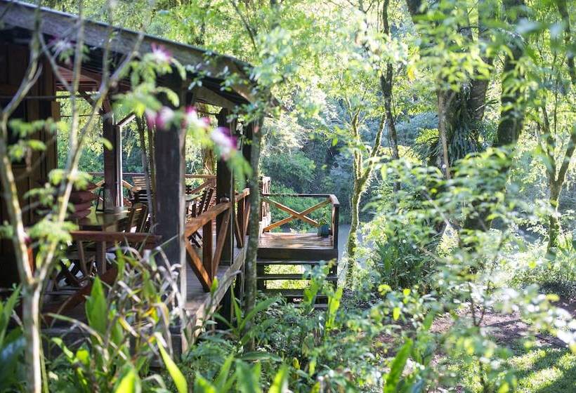 Otel Margay   Reserva Natural Y Lodge