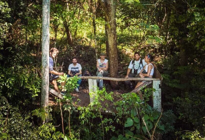 Otel Margay   Reserva Natural Y Lodge