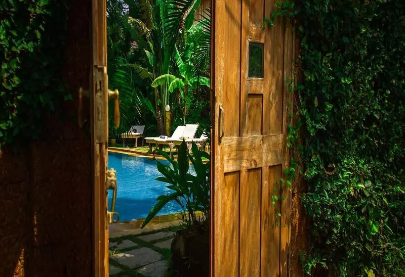 Hotelli Papa Jolly Eco Resort   Near Morjim Beach