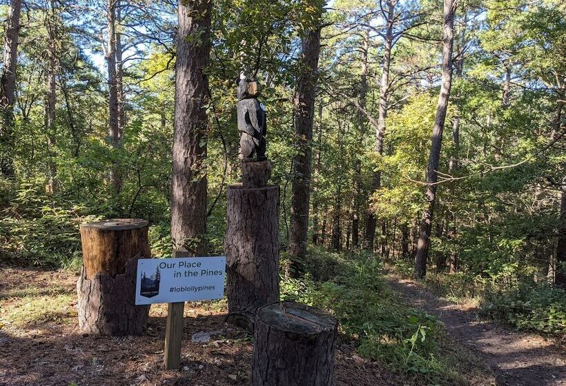 Loblolly Pines Adventure Camp