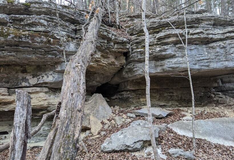 Loblolly Pines Adventure Camp