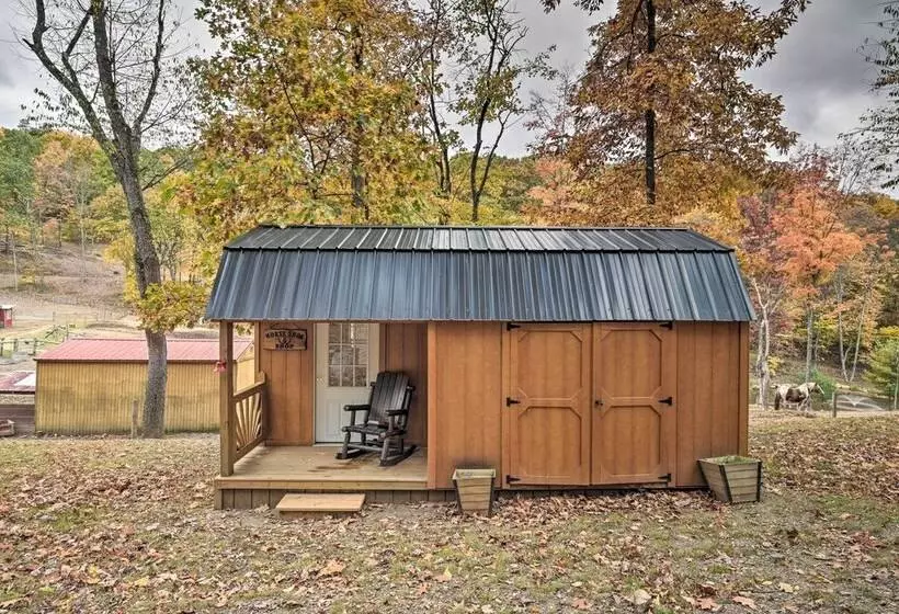 Matt Dillon  Cabin ~ 1 Mile To Raystown Lake!