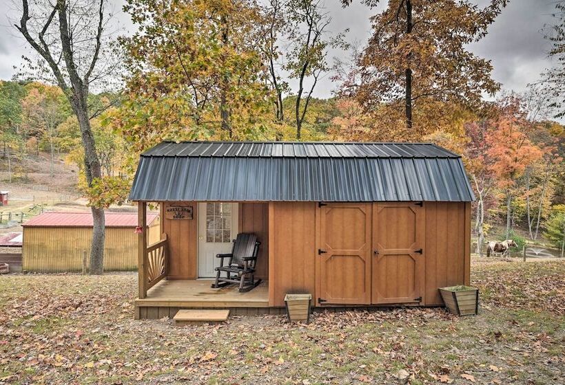 Matt Dillon  Cabin ~ 1 Mile To Raystown Lake!