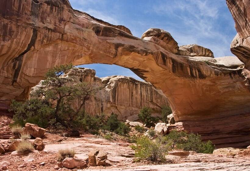 Muddy Creek Mining Company