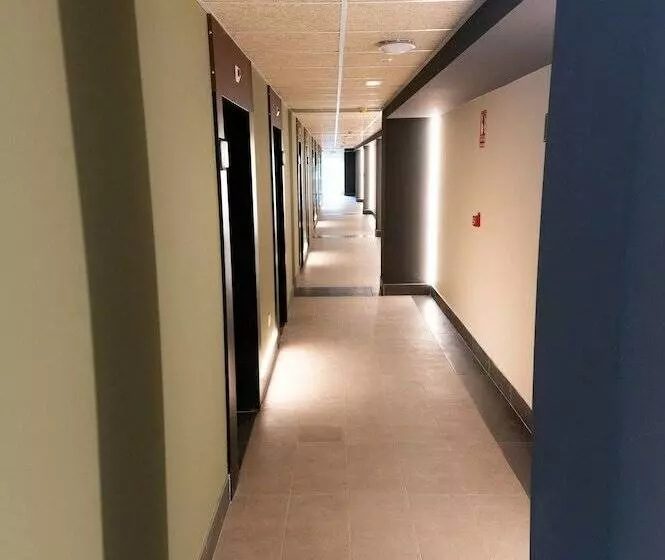 ペンション Estrela Do Camiño