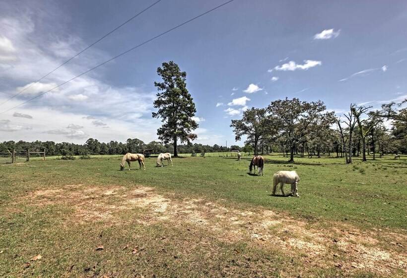 Plantersville Cabin On 50 Acres W/ Pond & Fire Pit
