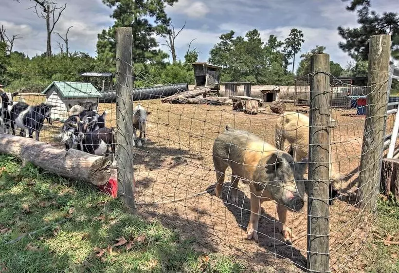 Plantersville Cabin On 50 Acres W/ Pond & Fire Pit