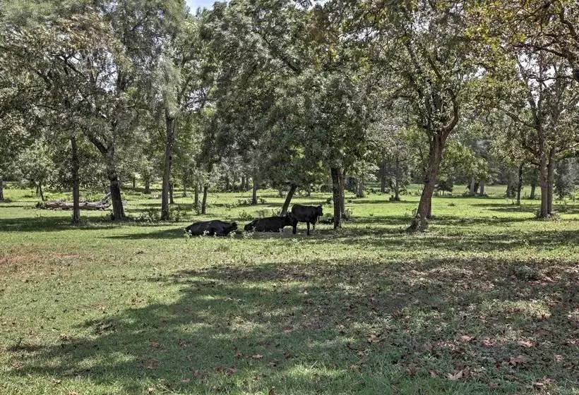 Plantersville Cabin On 50 Acres W/ Pond & Fire Pit