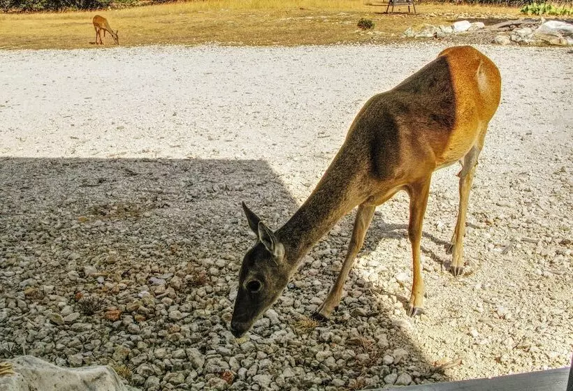 Hill Country Casita W/ Patio: 13 Mi To Dtwn Boerne