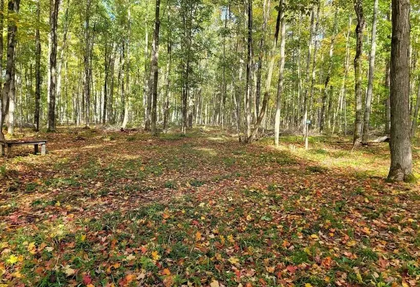 400 Acre Outdoor Enthusiast S Lodge In Mancelona!