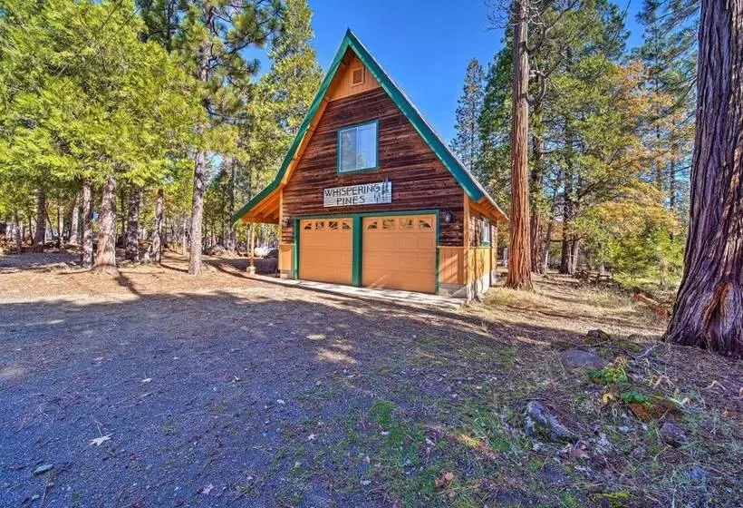 Rustic Trinity Center Cabin W/ Deck Near Fishing!