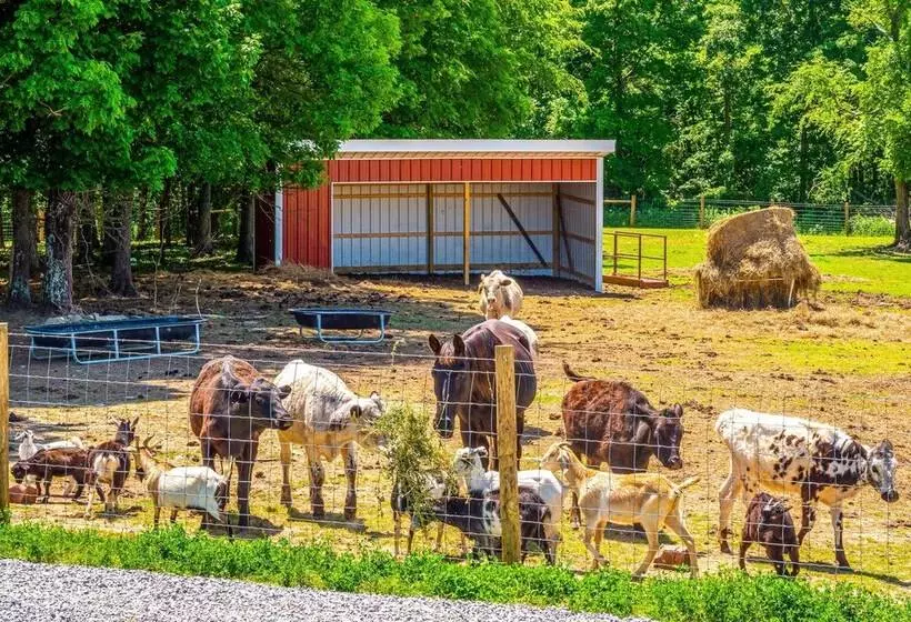Almost Heaven  Farmers Paradise On 50 Acres!