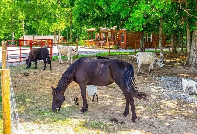 Almost Heaven  Farmers Paradise On 50 Acres!