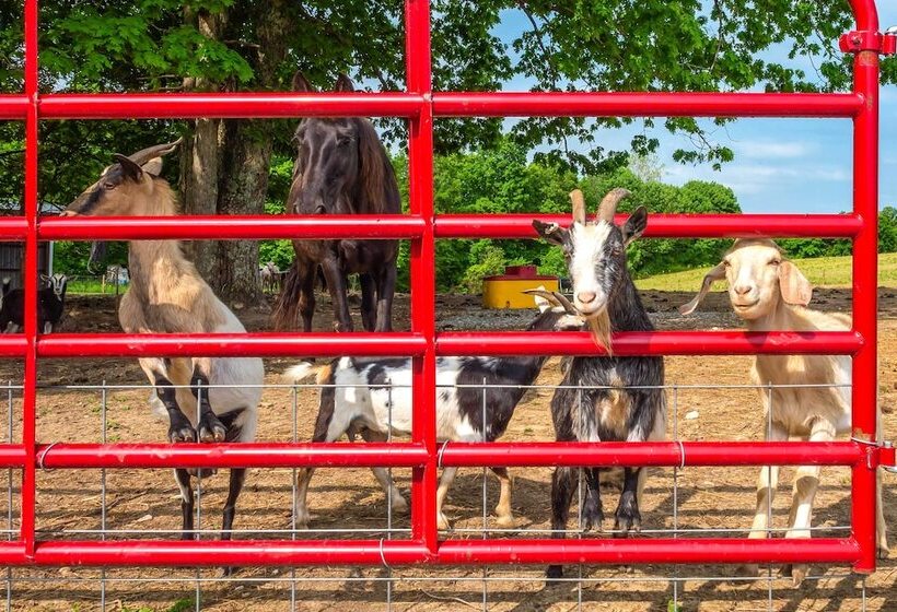 Almost Heaven  Farmers Paradise On 50 Acres!