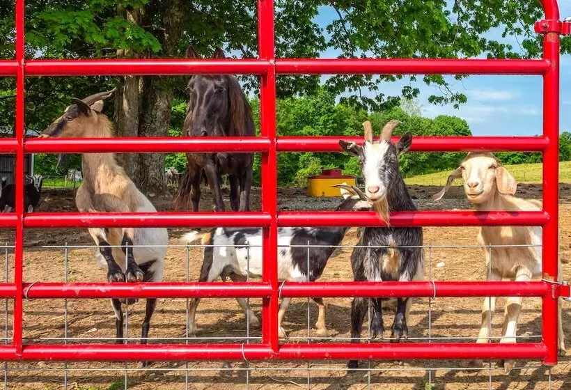 Almost Heaven  Farmers Paradise On 50 Acres!