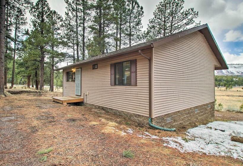 Peaceful Nutrioso Cabin Retreat W/ Mountain Views!