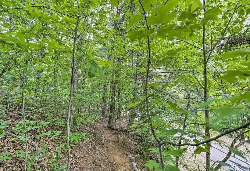 Bumblebee Cottage  Murphy Retreat W/ Hot Tub