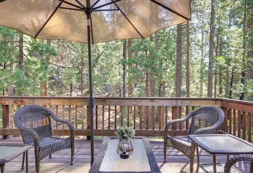 Forested Cold Springs Cabin W/ Wood Burning Stove!