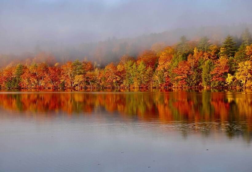 Waterfront Escape W/ Kayak, Paddle Boards, & Sauna