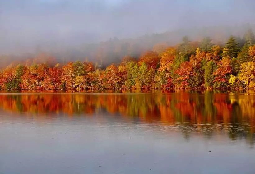 Waterfront Escape W/ Kayak, Paddle Boards, & Sauna
