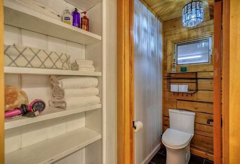 Pagosa Lakefront Home W/ Hot Tub, A/c, & Canoe!