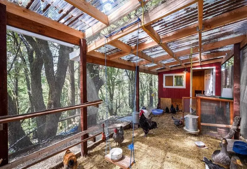 Mountain Homestead: Swim, Hike, & Camp On Site!