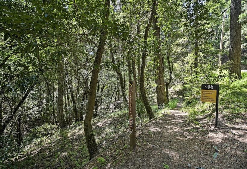 Mountain Homestead: Swim, Hike, & Camp On Site!