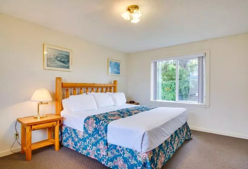 Rustic Coastal Smith River Cottage W/ Ocean Views!