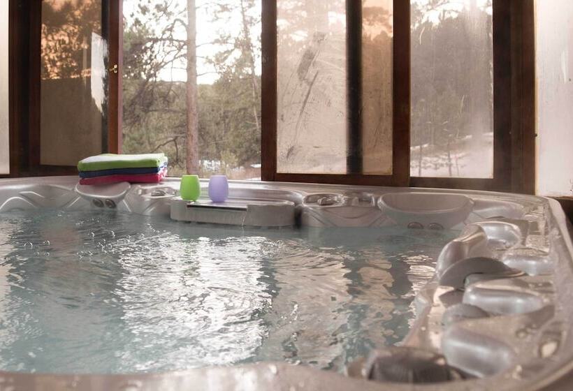Stunning Evergreen Chalet W/ Private Hot Tub!