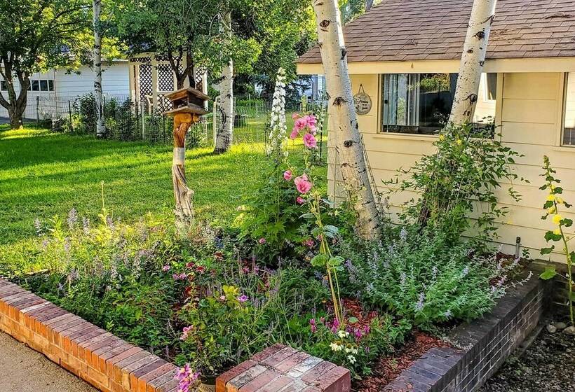 Charming Buena Vista Creekside Home: Walk To Main!