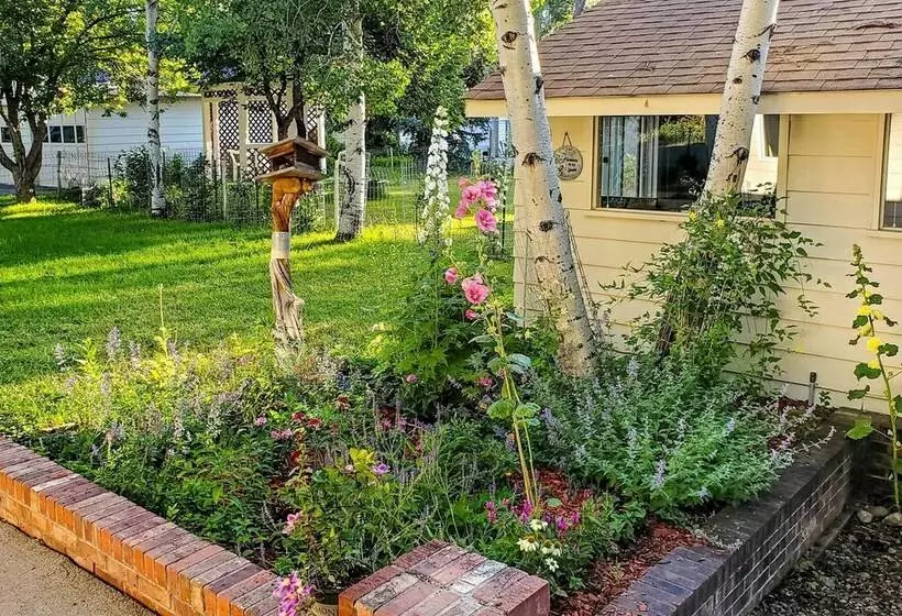 Charming Buena Vista Creekside Home: Walk To Main!