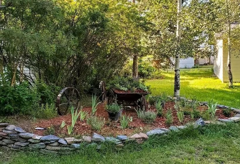 Charming Buena Vista Creekside Home: Walk To Main!